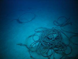Steel wire rope